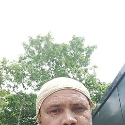 , 41 , 