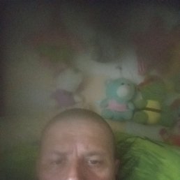 , 37 , 