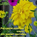 ���� ������ ��������, ��������, 55 ��� - ��������� 31 ������� 2025 � ������ ������ ��������
