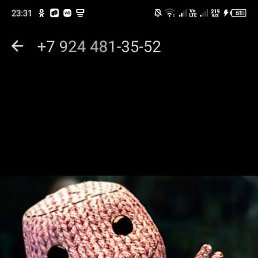 �����, ����-���������, 42 ����