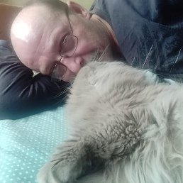 , 58, 