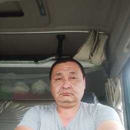 , 42, 