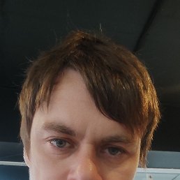 �����, 41 ���, ��������