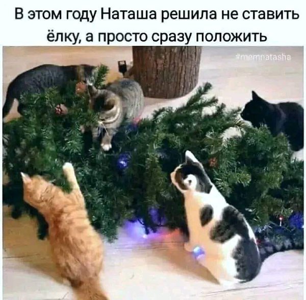   - 6  2023  05:46