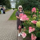 ���� �������, �������, 62 ���� - ��������� 16 ������� 2025 � ������ ���� ����������