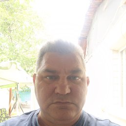 , 50, 