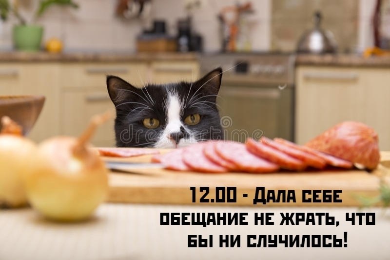 ��� ���� � ����� �� �� - 28 ������ 2026 � 12:55