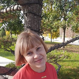 �����, ������, 54 ����