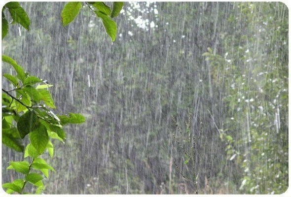   ,    ,      , ,   ... - 3