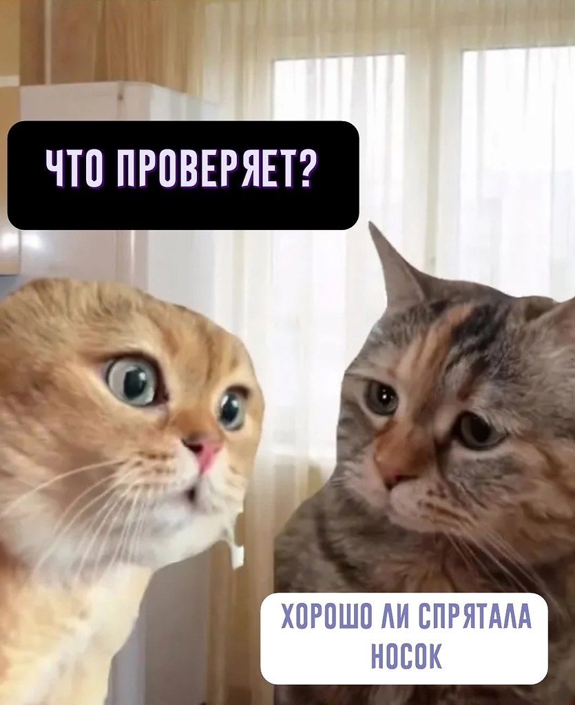   , ? - 3