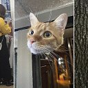 ���� ���������, �������, 52 ���� - ��������� 12 ���� 2026 � ������ ������ ��������