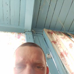 , 42, 
