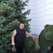 , 49 , 