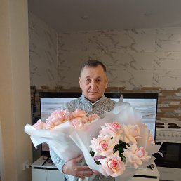 ���� Shair, �����������, 64 ���� - ��������� 2 ������� 2026