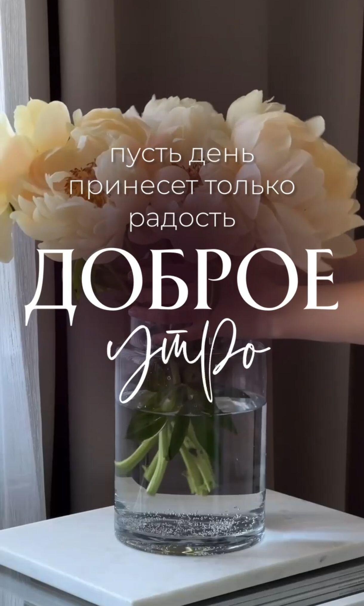 ***Victoria Viktorovna*** - 28  2024  01:30