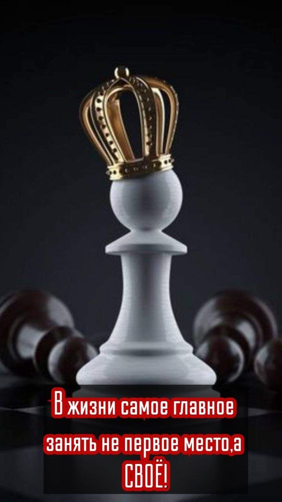 ₪╬═►  ||  ||  ◄═╬₪ - 28  2024  08:32