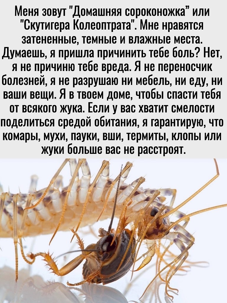 ,      !      , ... - 2