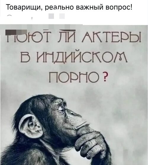   ! - 19  2025  14:33