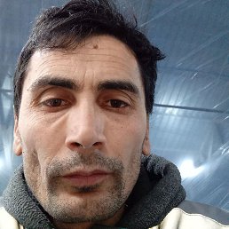 ���������, �����, 41 ���