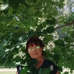 , 56, 