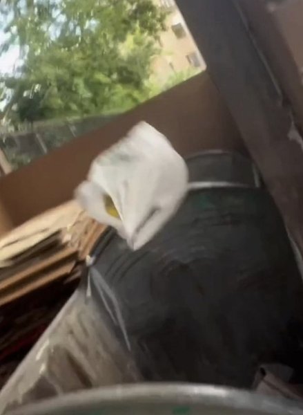 Артисты в погоне за вниманием: Лолита выбрасывает мусор на видео! В стремлении привлечь внимание, ... - 3