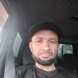 , 41, 