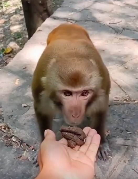 �� ������ ������ �� �������