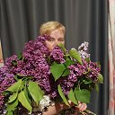 ���� �����, �����������, 56 ��� - ��������� 25 ��� 2026 � ������ ���� ����������