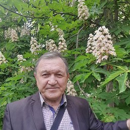 , 65, 