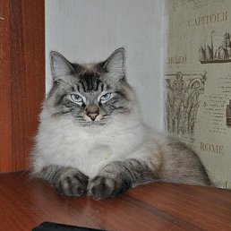 ���� �����, �����������, 49 ��� - ��������� 2 ������� 2025