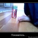 ���� ���������, �������, 52 ���� - ��������� 24 ������� 2026 � ������ ������ ��������