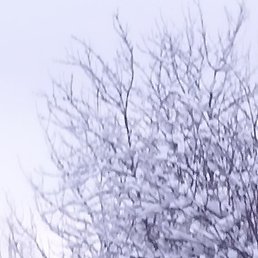 ��������, ������, 50 ���