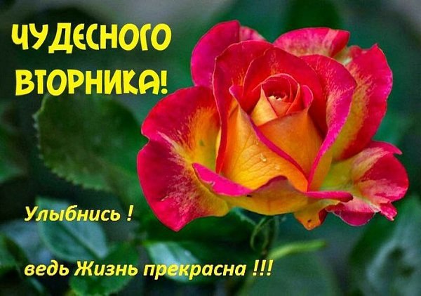 ����� �������� - 30 ���� 2026 � 07:56