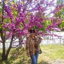 ���� ������, �����������, 70 ��� - ��������� 14 ������ 2024 � ������ ���� ����������