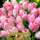 ���� �������, ������ ��������, 59 ��� - ��������� 1 ����� 2026 � ������ ������ ��������