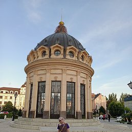 , , 52 
