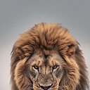 ���� Kar, ������, 40 ��� - ��������� 11 ������� 2023 � ������ ���� ����������