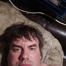 , 41, 