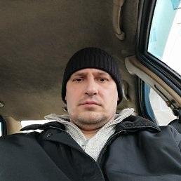 ��������, ������, 49 ���