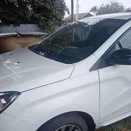 ������, �������, 49 ���