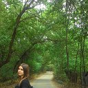 ���� �����, ������-��-����, 29 ��� - ��������� 9 ����� 2024 � ������ ���� ����������