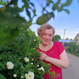 , 49, 