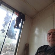 , 58 , 