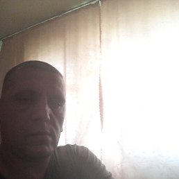 , 36, 