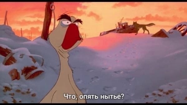 JPG - 5  2025  18:45