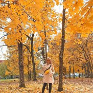 �����, 40 ���, ������