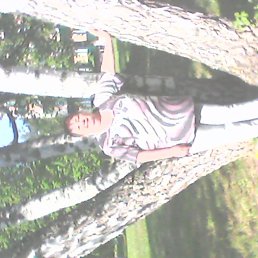  , 63, ,  
