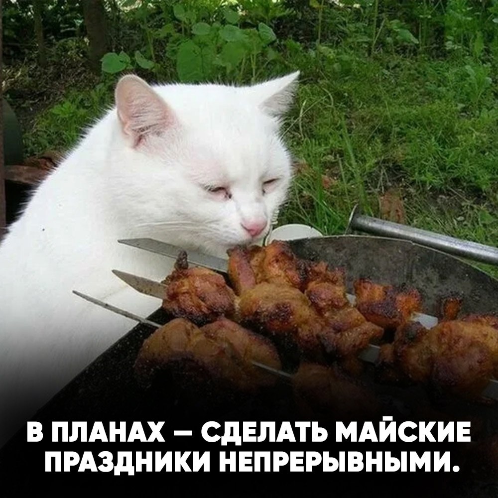    :      !  ...