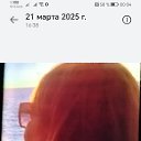 ���� �����, ������, 53 ���� - ��������� 17 ���� 2026 � ������ ���� ����������