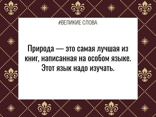 ������� ����� | ������, ����� � �������� - 20 ������� 2025 � 19:39